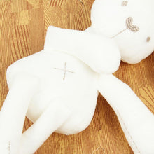 Load image into Gallery viewer, BFF Bunny Doll
