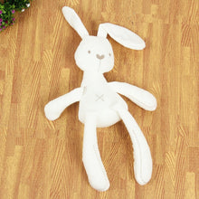 Load image into Gallery viewer, BFF Bunny Doll