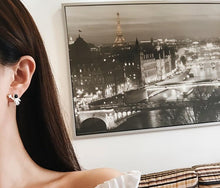 Load image into Gallery viewer, Astro Earrings
