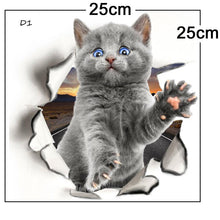 Load image into Gallery viewer, FALSE