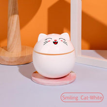 Load image into Gallery viewer, Kitty Humidifier