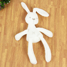 Load image into Gallery viewer, BFF Bunny Doll
